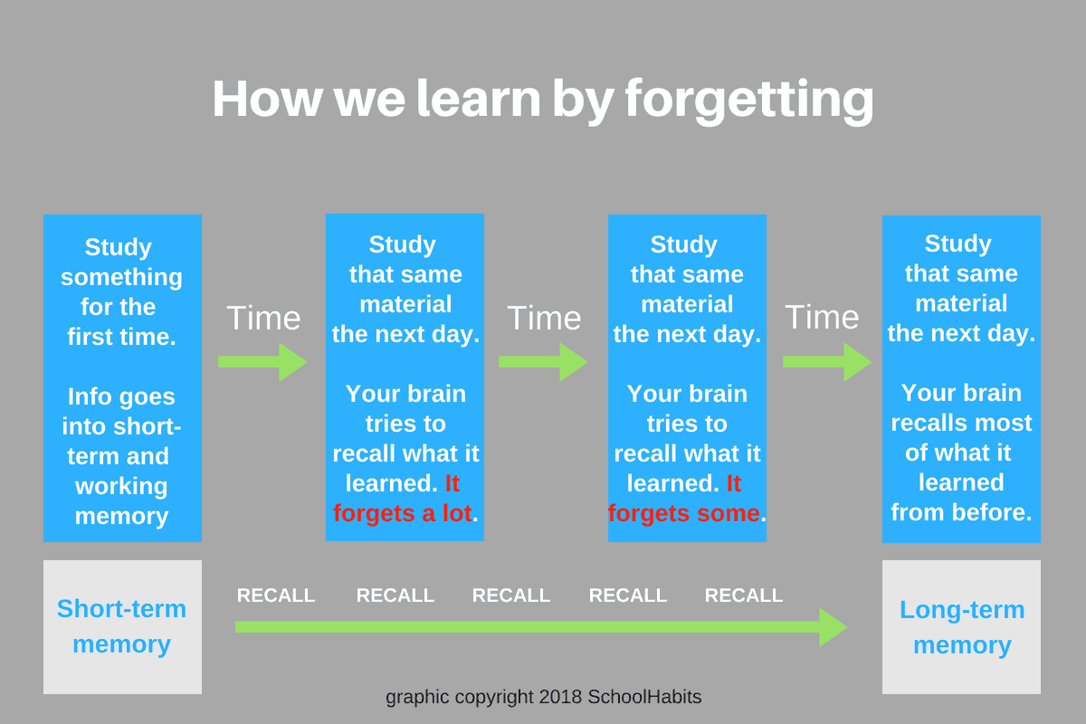 Why Is My Short Term Memory So Bad But Long Term Is Good