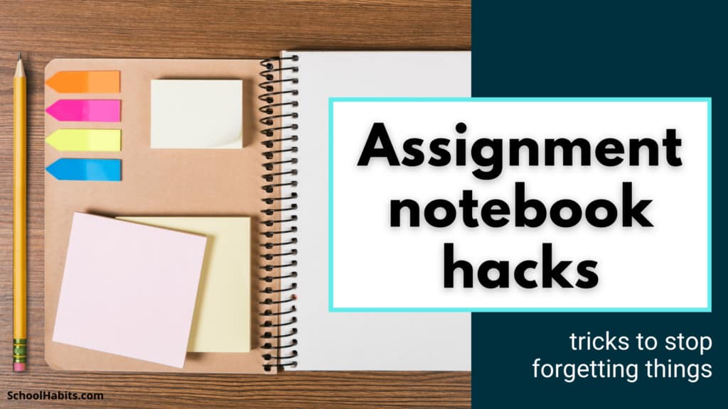 assignment writing hacks