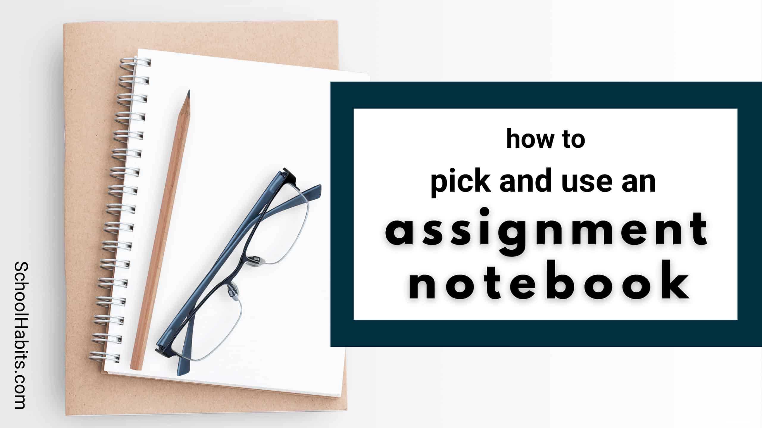 the assignment notebook
