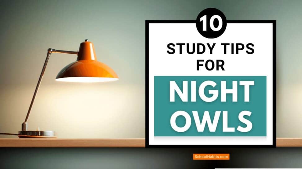 study tips for night owls